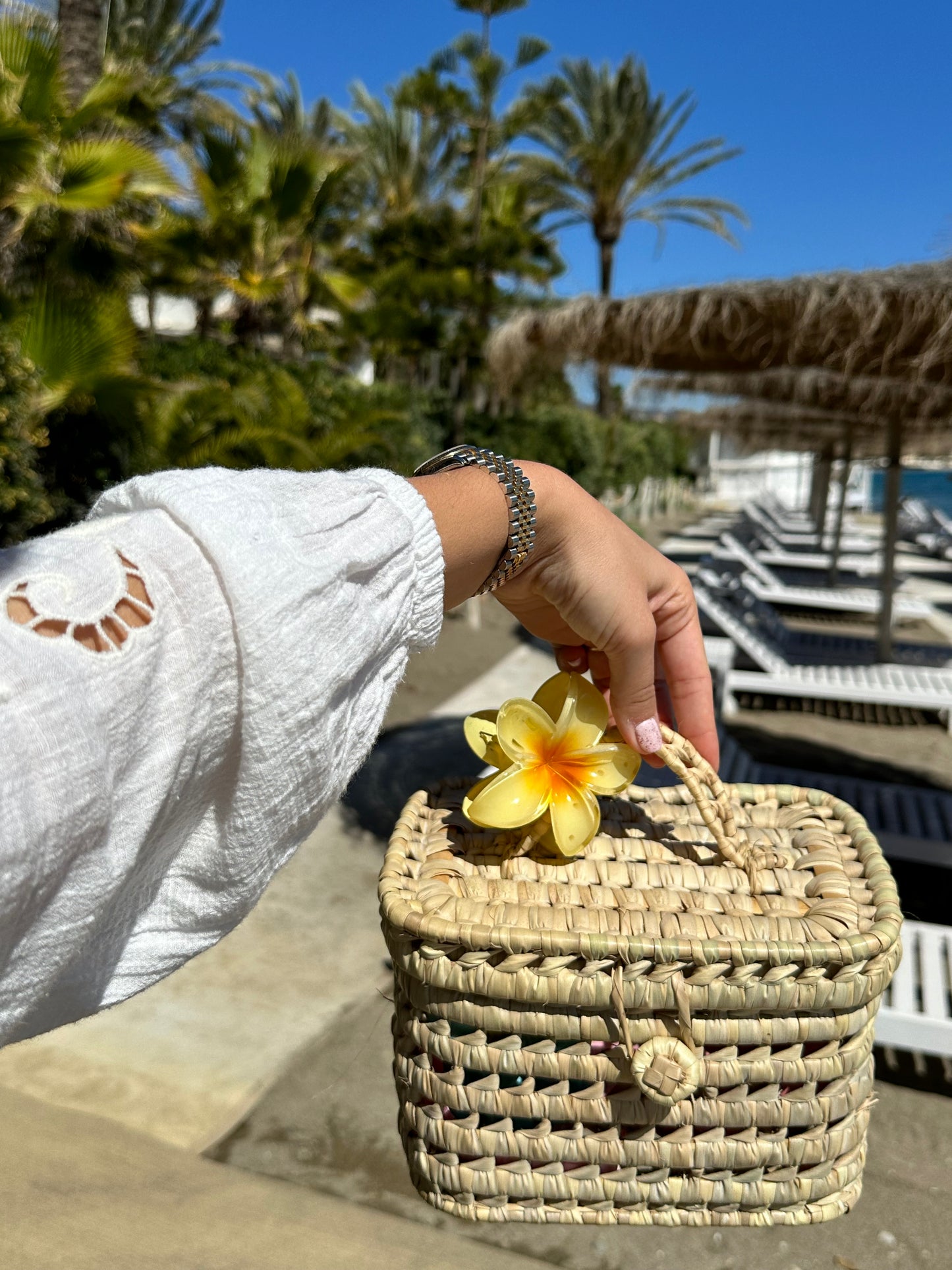 Palm leaf Make-up Basket