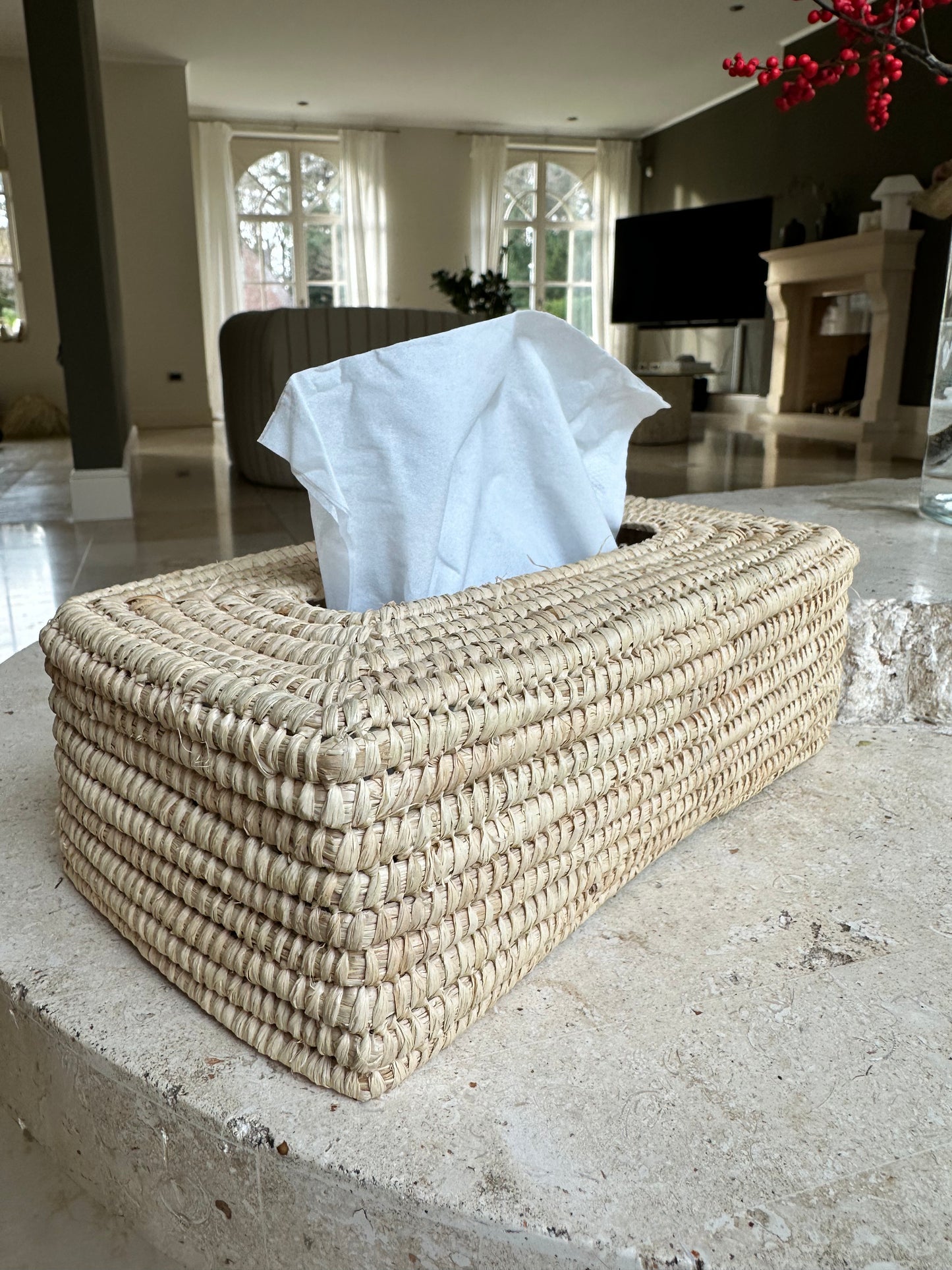 Tissue Box Raffia